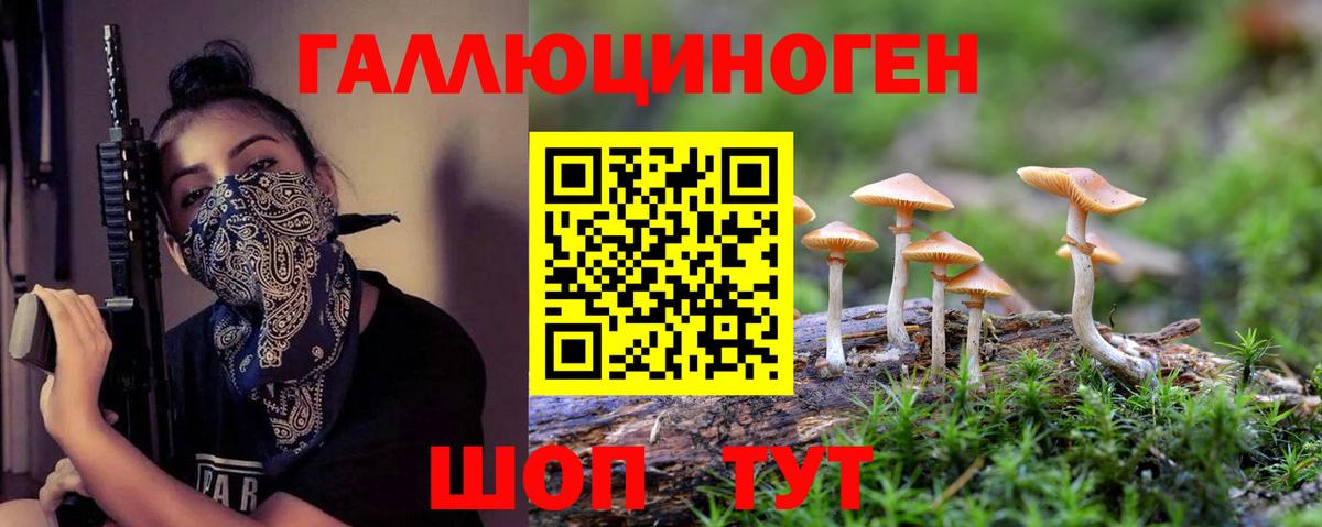 Галлюциногенные грибы Psilocybe  Псилоцибиновые грибы Psilocybe  цена наркотик  Вход с VPN  Александров 